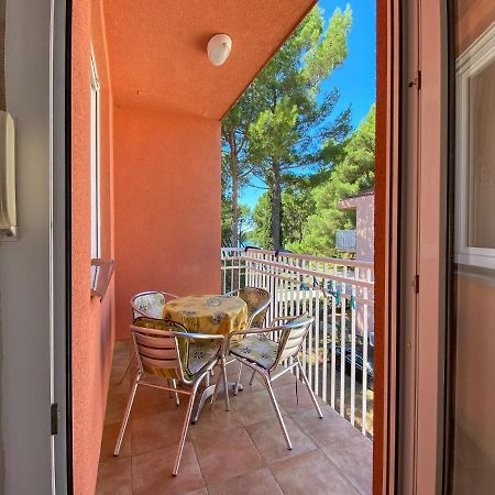 Vesna S Apartment Novigrad Istria Kültér fotó